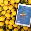 Lemons with Epic Ipad edited 2